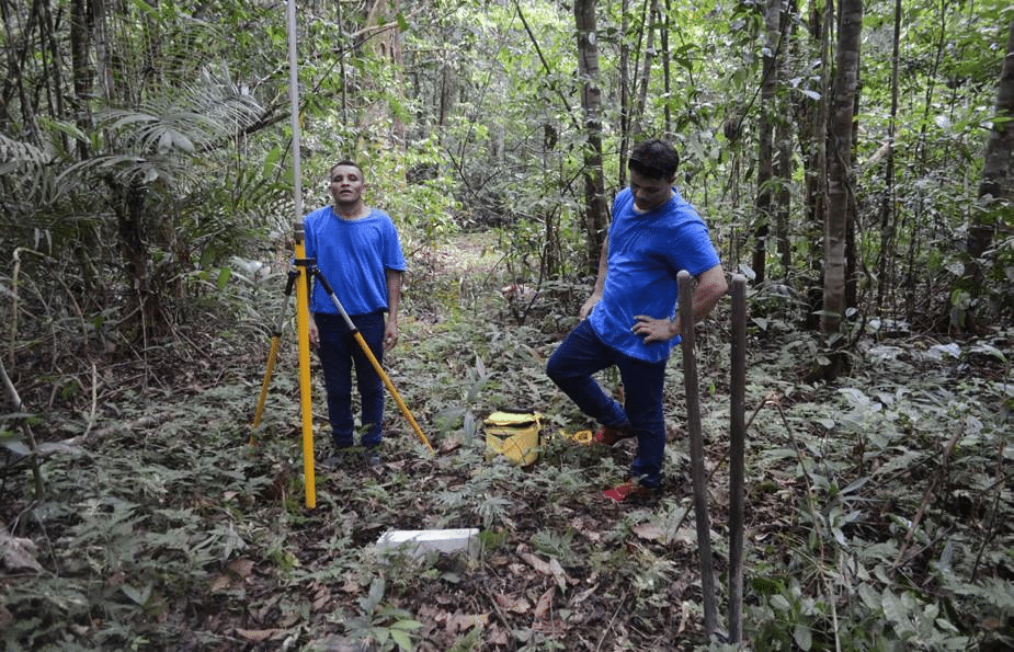 Rainforest - ESG Blog Rainforest - ESG Blog