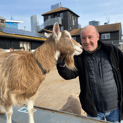 A quick break for goat cuddles at Surrey Docks Farm -Blog from Messagemaker Displays