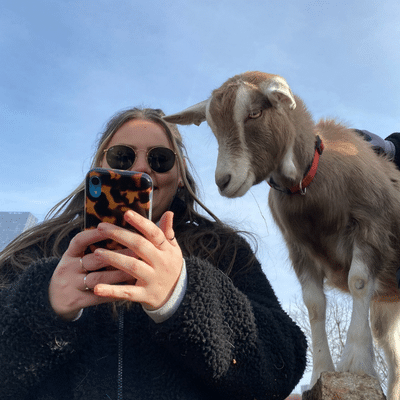 Laura and a Curious Goat at Surrey Docks Farm Blog from Messagemaker