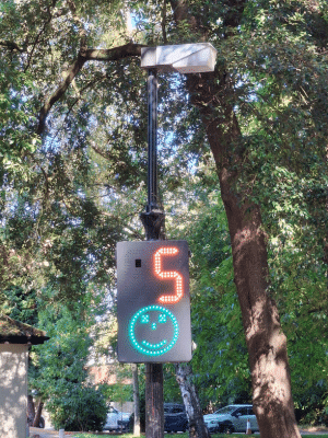 Children's Trust Smiley Activated Speed Sign